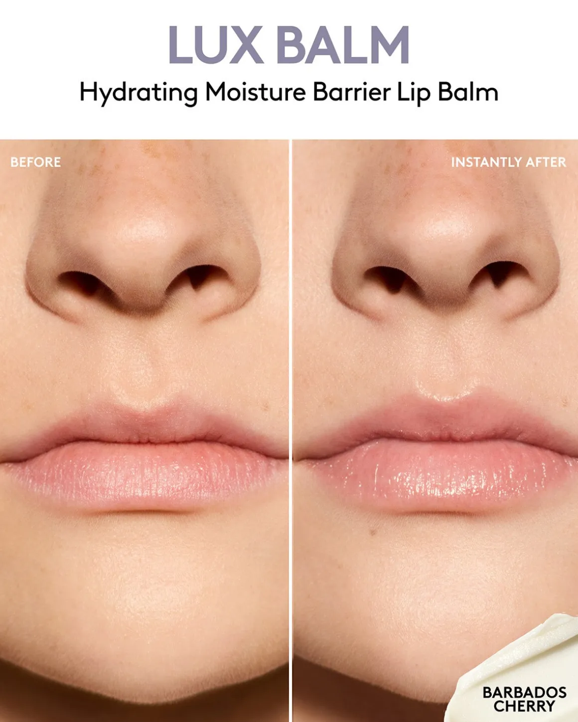 Lux Balm Hydrating Moisture Barrier Lip Balm