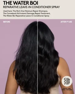 The Water Boi Reparative Leave-In Detangling Conditioner Spray